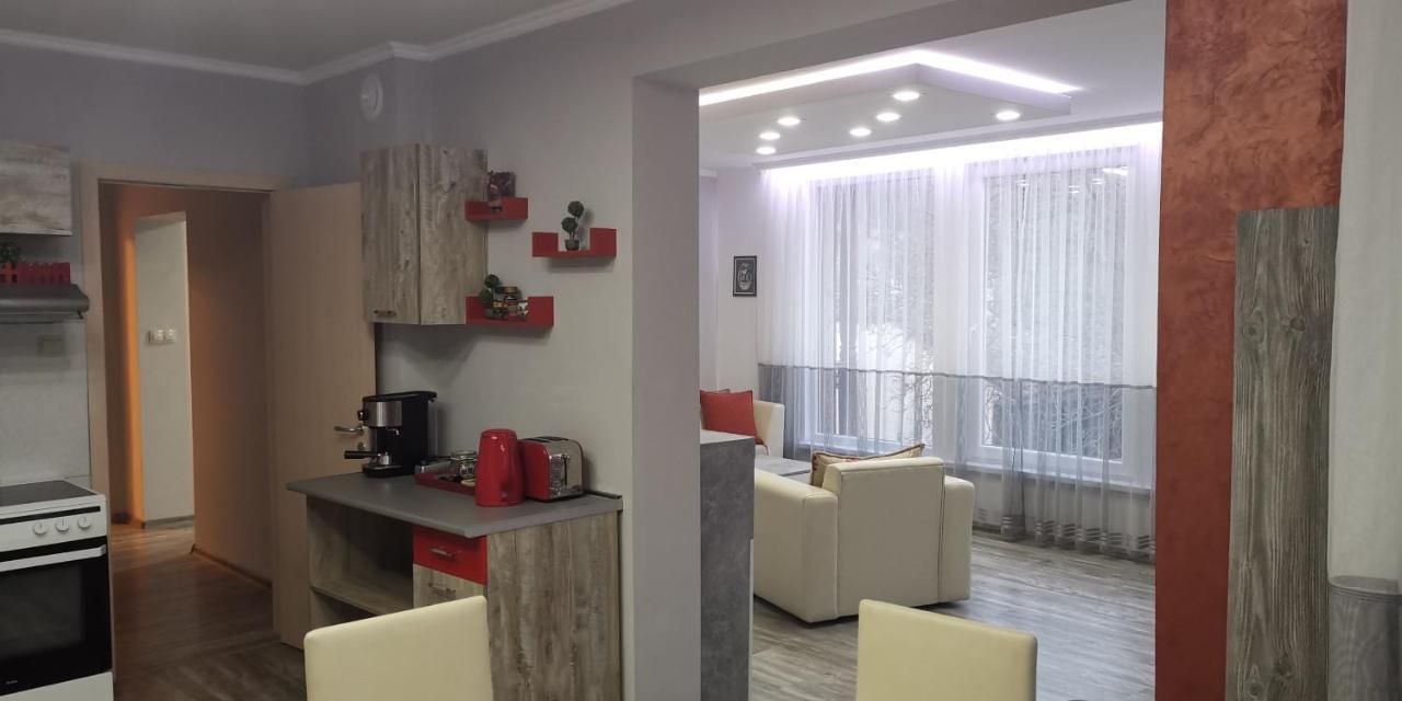 Апартамент При Рени Koprivstica Kültér fotó